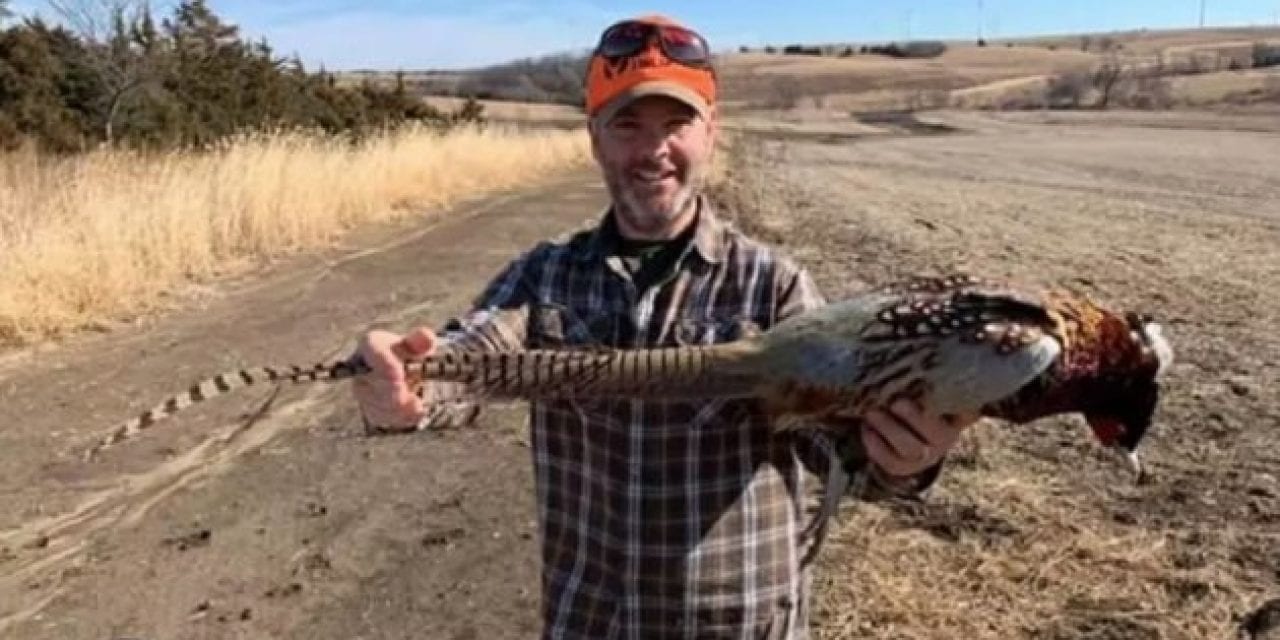Iowa Hunter Shoots Pheasant With 27.5-Inch Tail