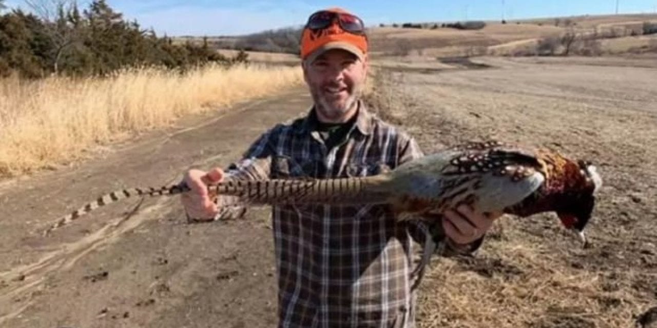Iowa Hunter Shoots Pheasant With 27.5-Inch Tail