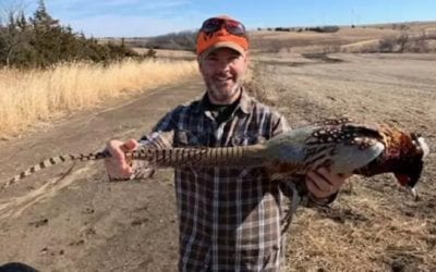 Iowa Hunter Shoots Pheasant With 27.5-Inch Tail