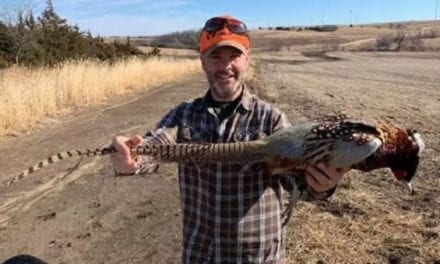 Iowa Hunter Shoots Pheasant With 27.5-Inch Tail