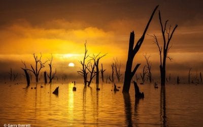 Lake Mulwala