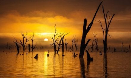 Lake Mulwala