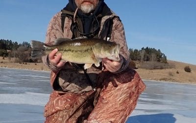 Largemouth Bass on Ice
