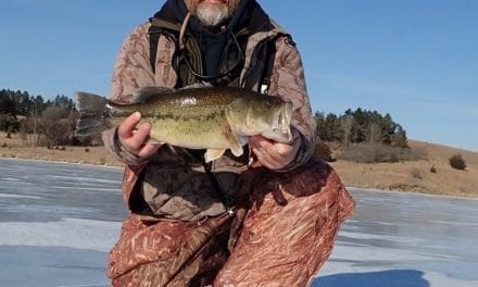 Largemouth Bass on Ice