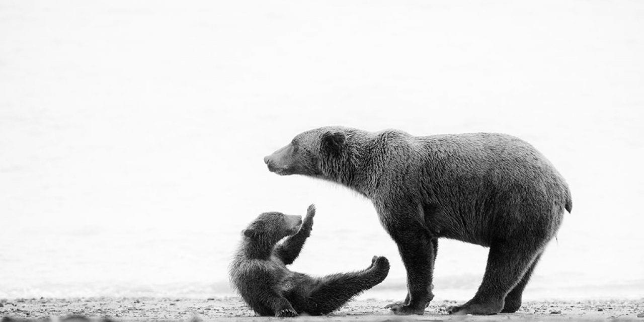 Last Frame: High Five, Mom!