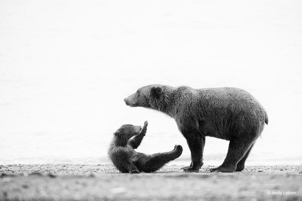 Last Frame: High Five, Mom!