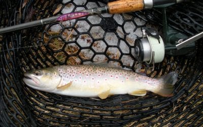 No Ice Required for this Winter Fishing