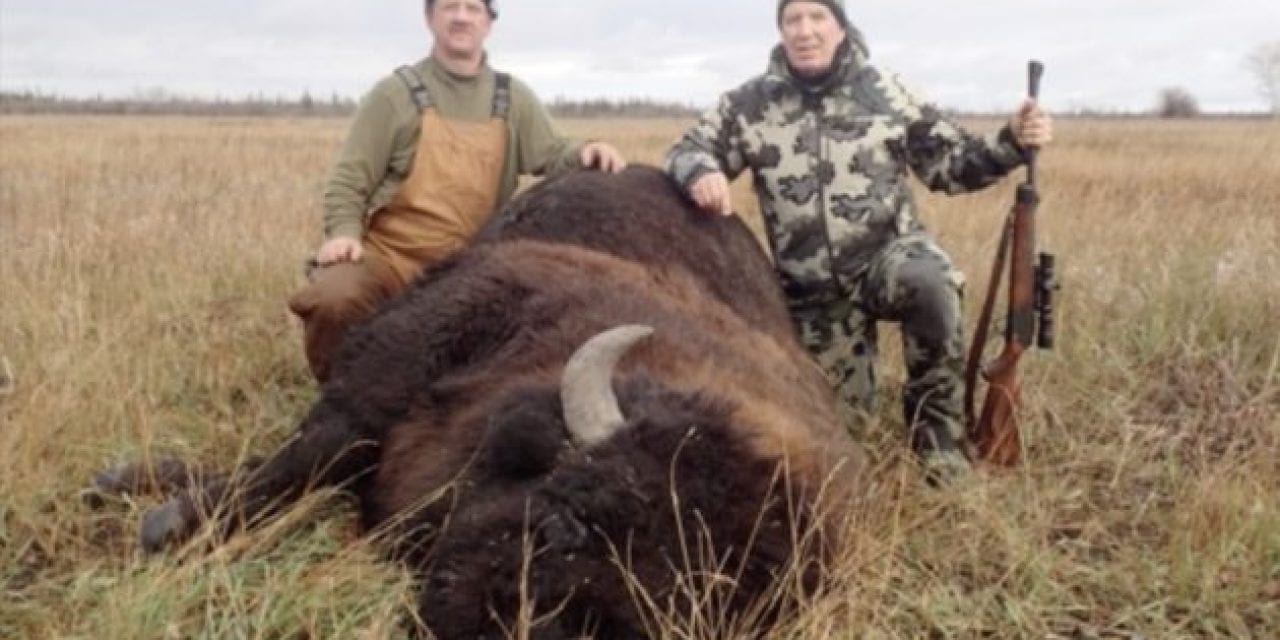 One Shot From a .458 Lott Puts This Bison Down