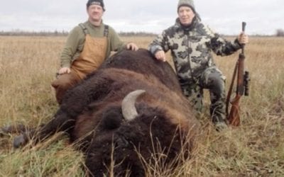 One Shot From a .458 Lott Puts This Bison Down