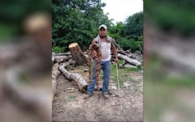Remember This Massive Copperhead Found Down in Georgia?