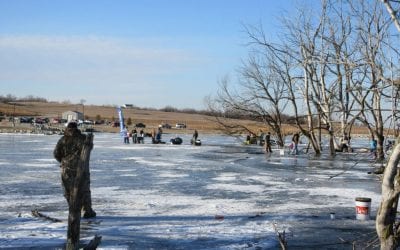 Some Updates, Jan. 8, 2020