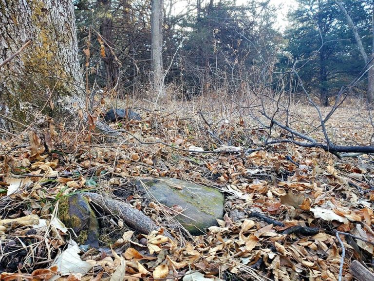 Deer Digested Rocks What are those rocks in my deer woods? - Outdoor Enthusiast Lifestyle ...