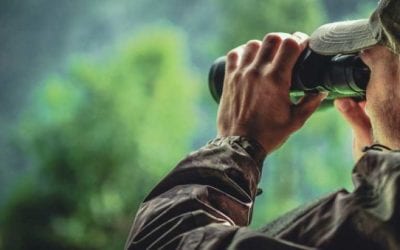 Will We Ever Be Able to Stop Poaching, or Do We Need to Handle It Differently?