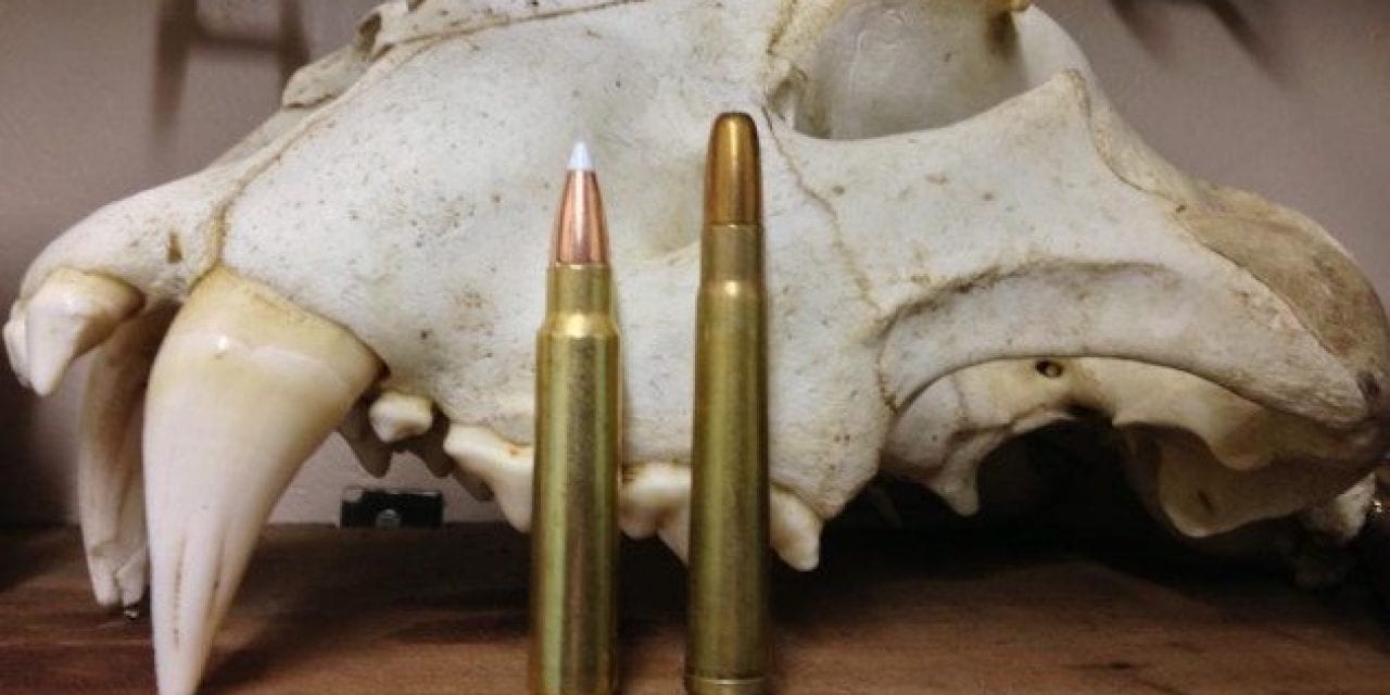 5 Most Underrated Rifle Cartridges for Hunting