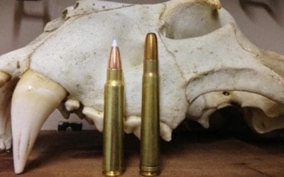 5 Most Underrated Rifle Cartridges for Hunting