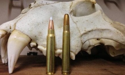 5 Most Underrated Rifle Cartridges for Hunting