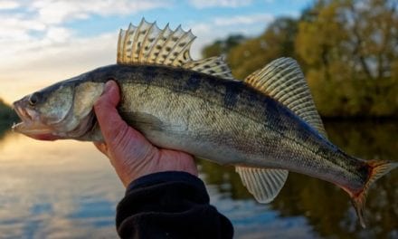 5 Spring Walleye Fishing Tips That Could Make the Difference