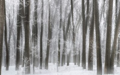Behind The Shot: Cold Winter