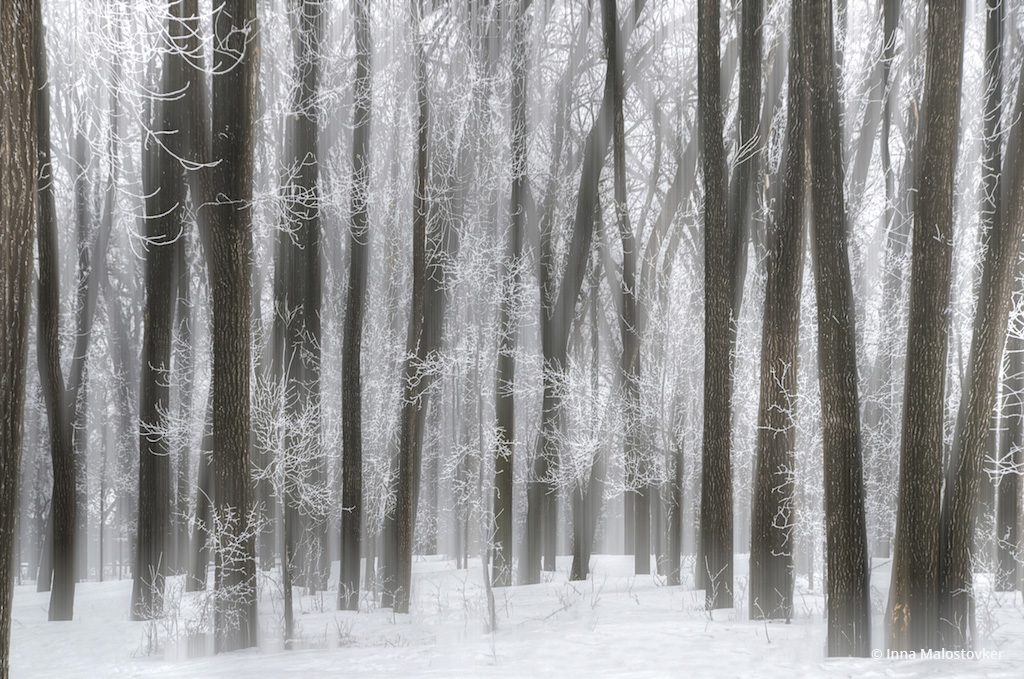 Behind The Shot: Cold Winter