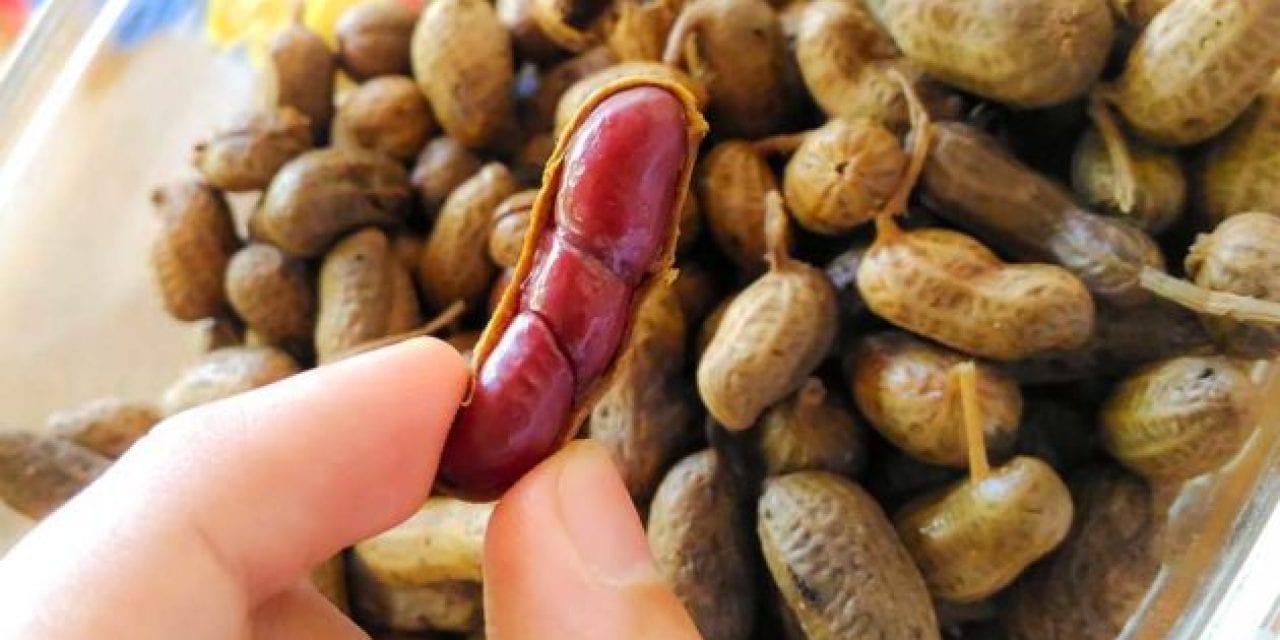 Cajun Boiled Peanuts Recipe: Spice Up Your Snacks With Simple Prep and a Great End Result