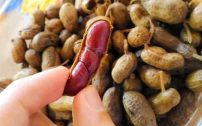 Cajun Boiled Peanuts Recipe: Spice Up Your Snacks With Simple Prep and a Great End Result