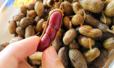 Cajun Boiled Peanuts Recipe: Spice Up Your Snacks With Simple Prep and a Great End Result