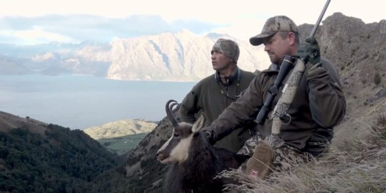 Chamois Hunting in New Zealand With a 6.5 PRC
