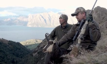 Chamois Hunting in New Zealand With a 6.5 PRC