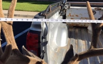 Extra Half-Inch of Antler Leads to Felony for Utah Poacher