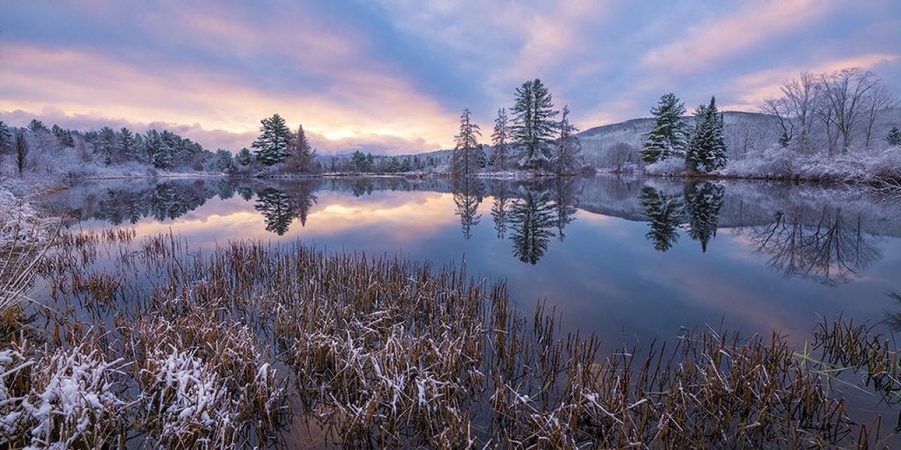 First Snowfalls Assignment Winner Harry Lichtman