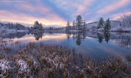 First Snowfalls Assignment Winner Harry Lichtman