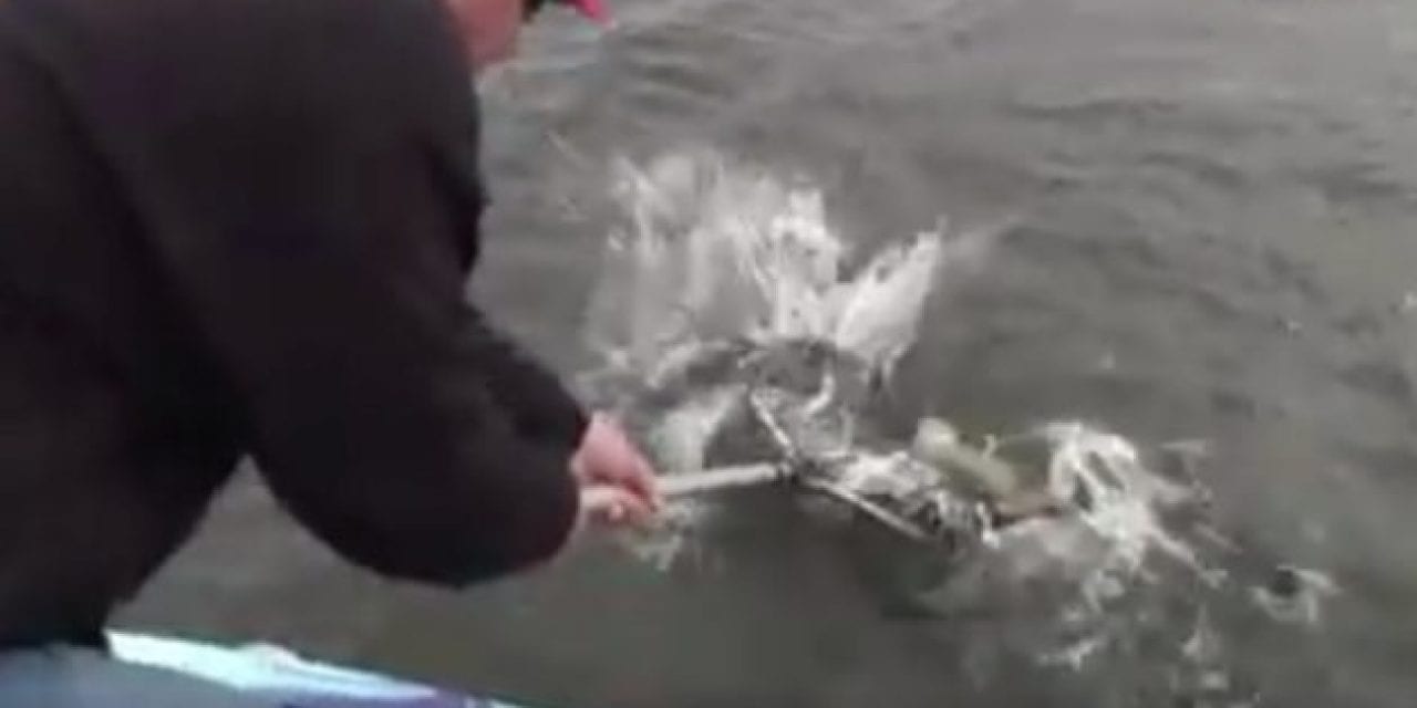 Fisherman Catches Crappie, Then Unexpectedly Snags Trophy Fish