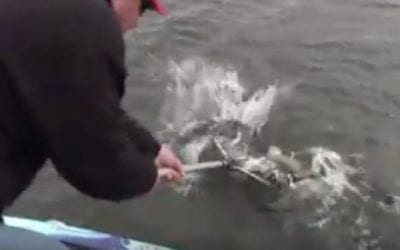 Fisherman Catches Crappie, Then Unexpectedly Snags Trophy Fish