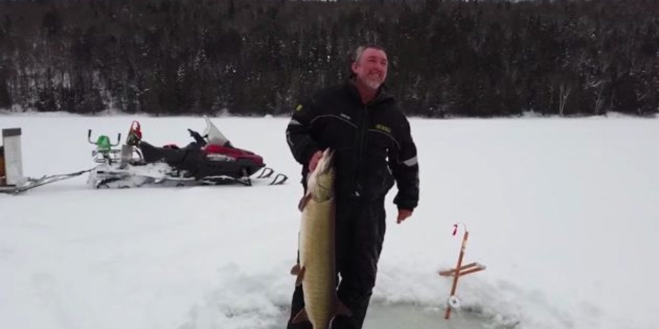 Giant Muskie Barely Clears Tiny Ice Fishing Hole