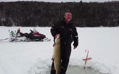 Giant Muskie Barely Clears Tiny Ice Fishing Hole