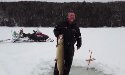 Giant Muskie Barely Clears Tiny Ice Fishing Hole