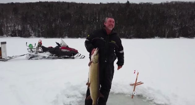 26.9-pound muskellunge