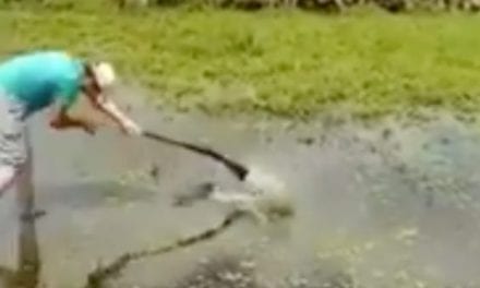 Guy Tries to Whack a Fish With a Loaded Firearm, Inevitably Shoots Himself