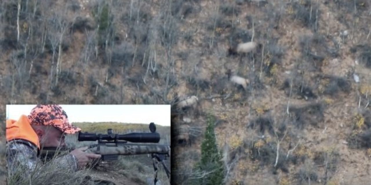 Hunter Shoots Elk From 875 Yards With .308
