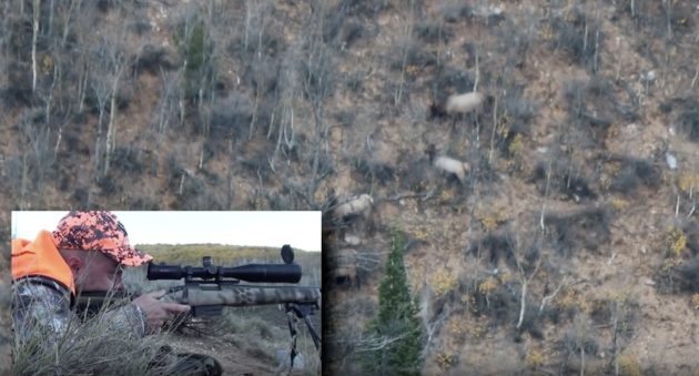 What Do You Think Of This 875 Yard Elk Kill With A .308 Winchester?