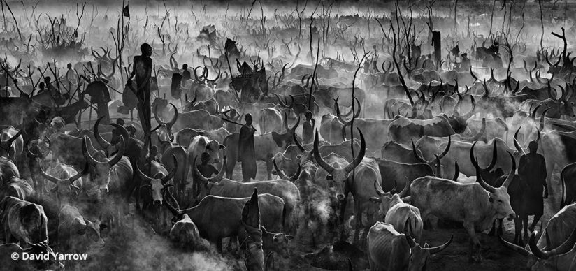 Mankind, image by David Yarrow