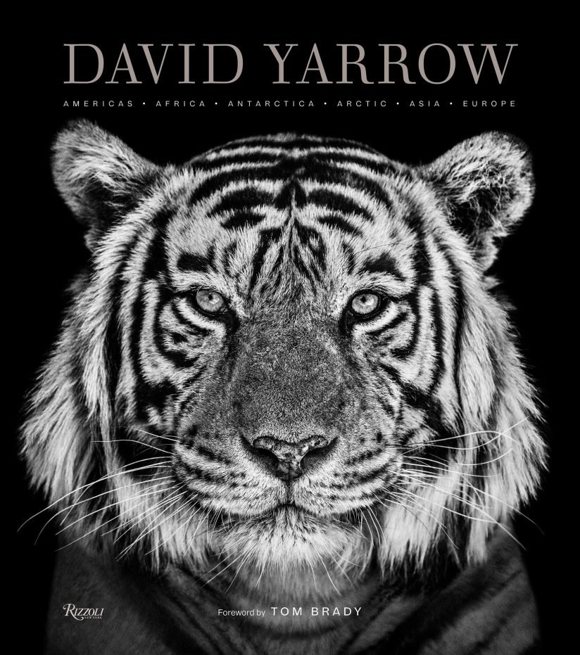 David Yarrow book cover