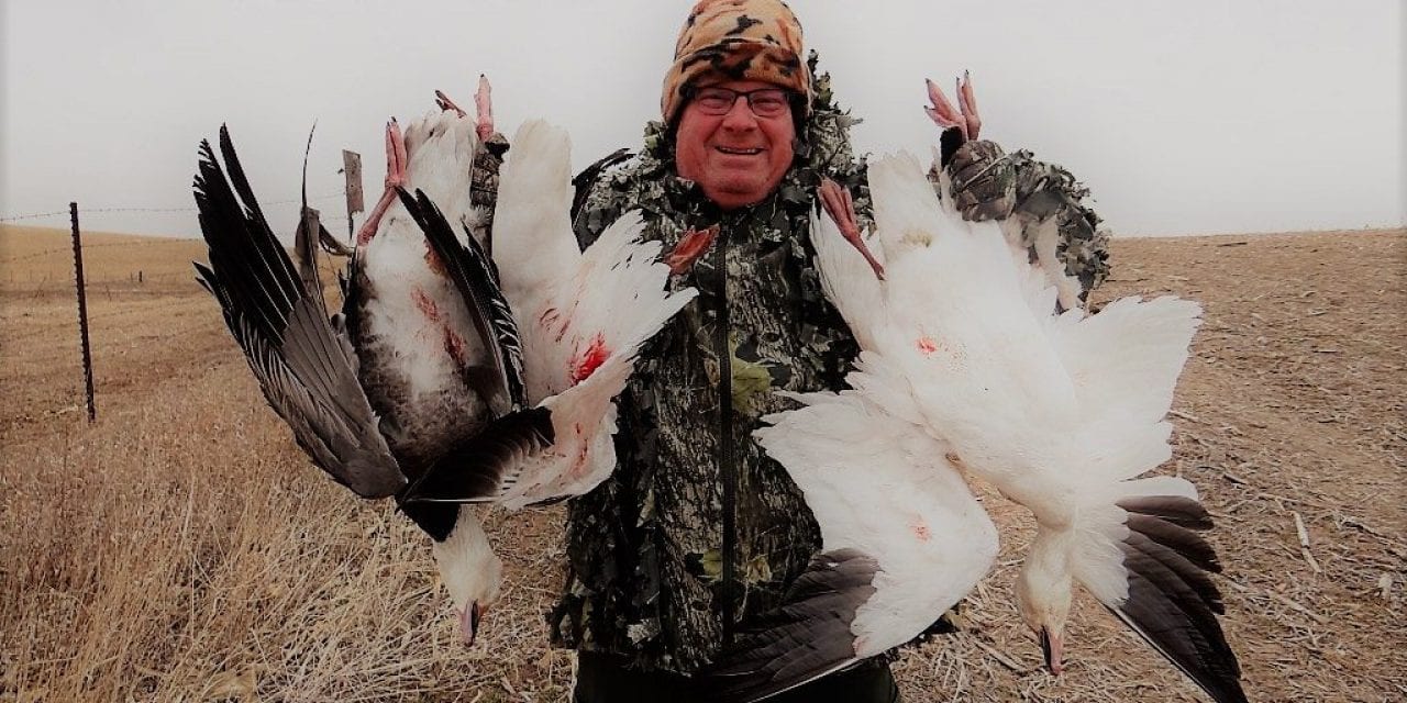 Let No One Tell You Snow and Ross’s Geese Aren’t Delicious!