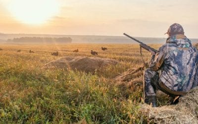 Most Inaccurate Things Anti-Hunters and Animal Rights Activists Say, Part I