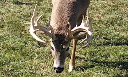 Pennsylvania is Pushing for More CWD Defense