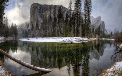 Photo Of The Day By Jennifer Clark