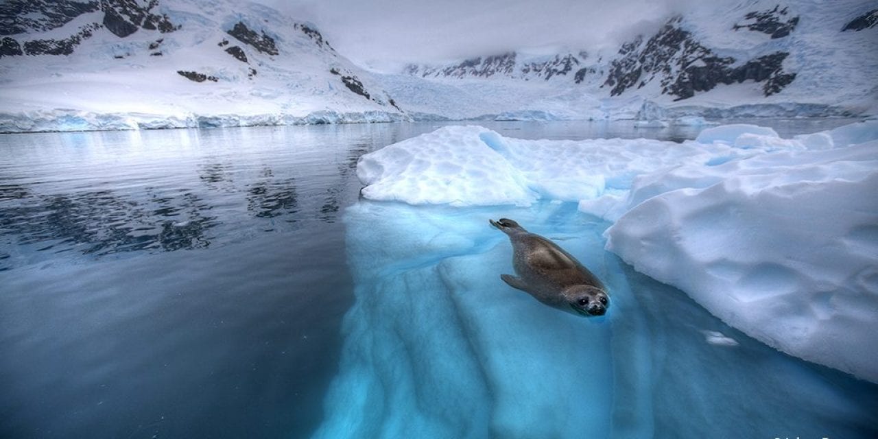 Photo Of The Day By Johan Beyers