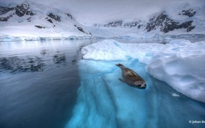 Photo Of The Day By Johan Beyers