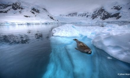 Photo Of The Day By Johan Beyers