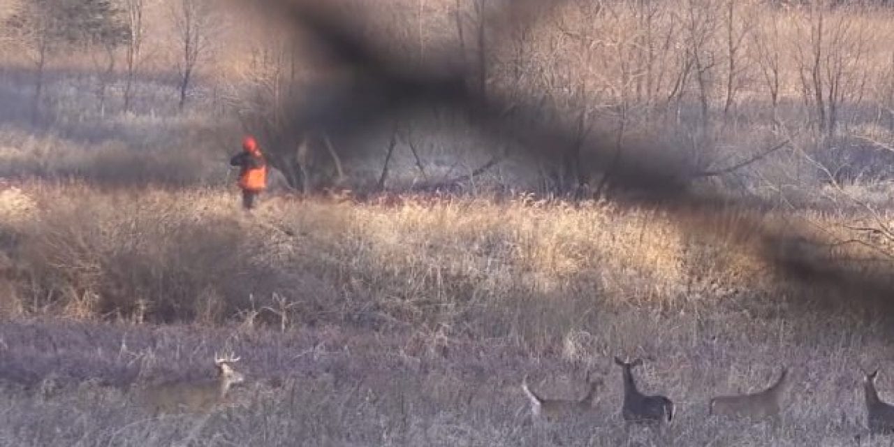 Public Land Hunter Films Idiot Shooting Right at Him